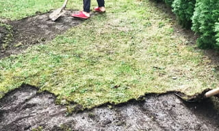 Снятие дерна старого газона в Великих Луках – от 520 руб. | 2Землекопа-Вкл